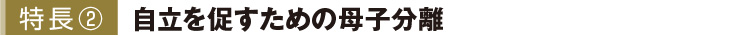特長2