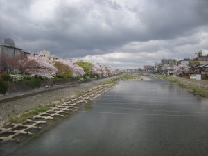 DSCN1506