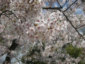 DSCN1563